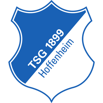 Һķ(Hoffenheim)